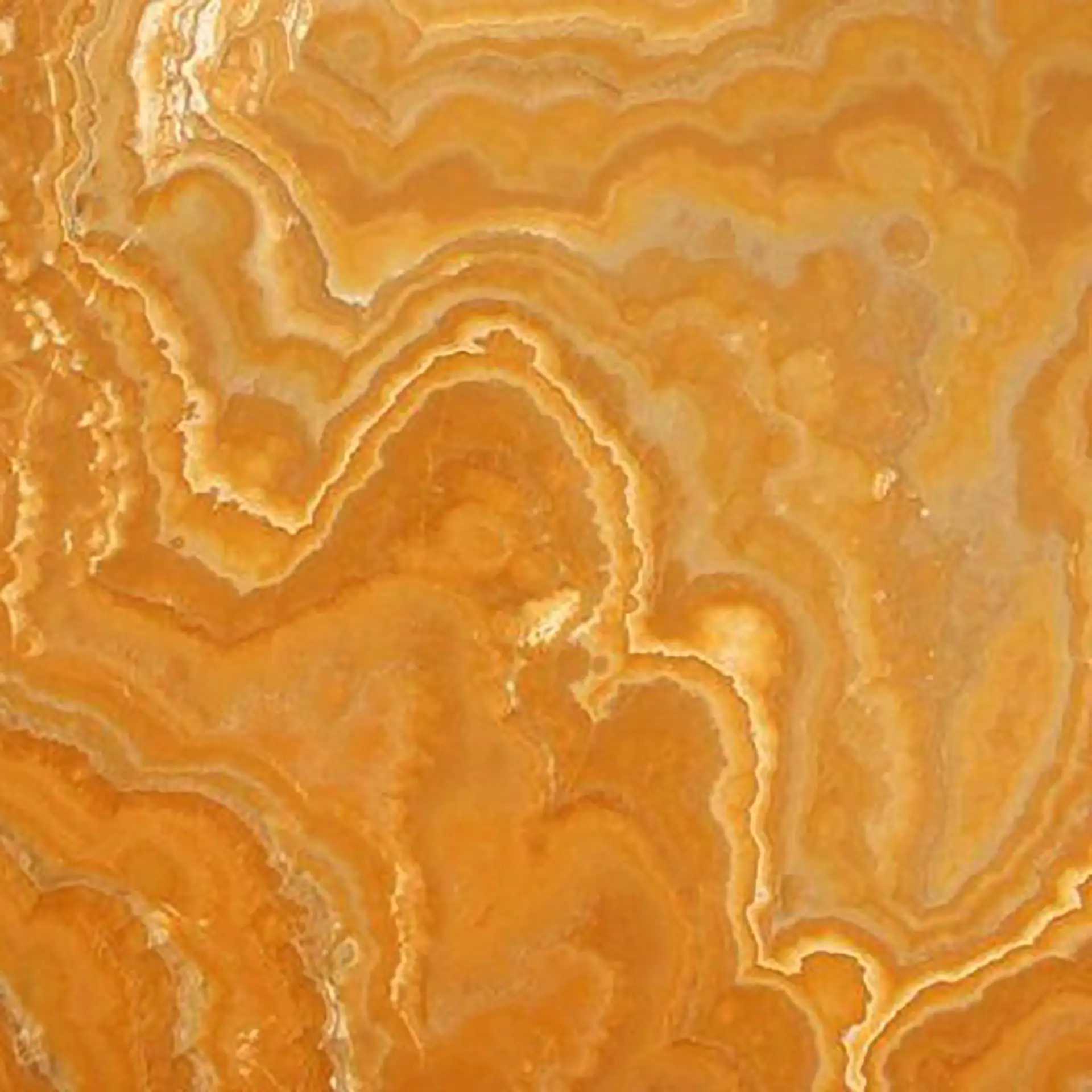 ONYX ORANGE
