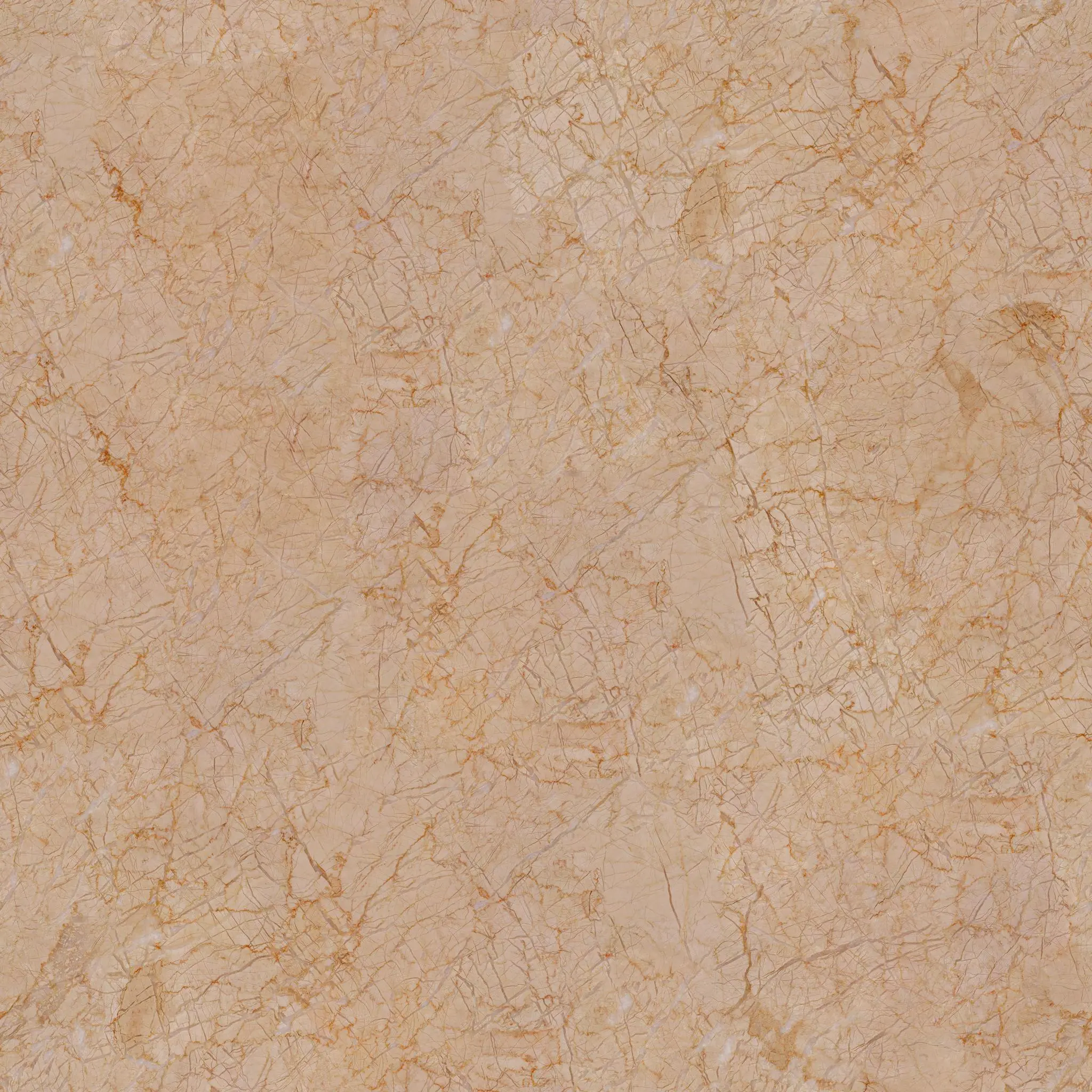 taza beige