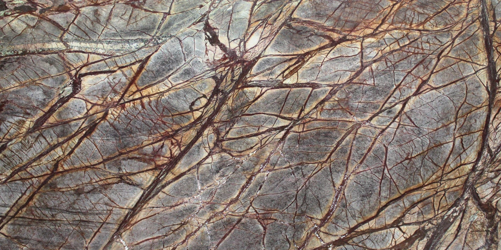 Rain Forest Brown